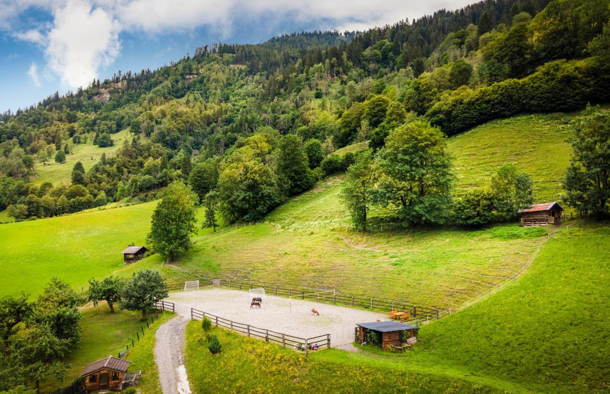 Biobauernhof Torbauer Leilighet Dorfgastein Eksteriør bilde